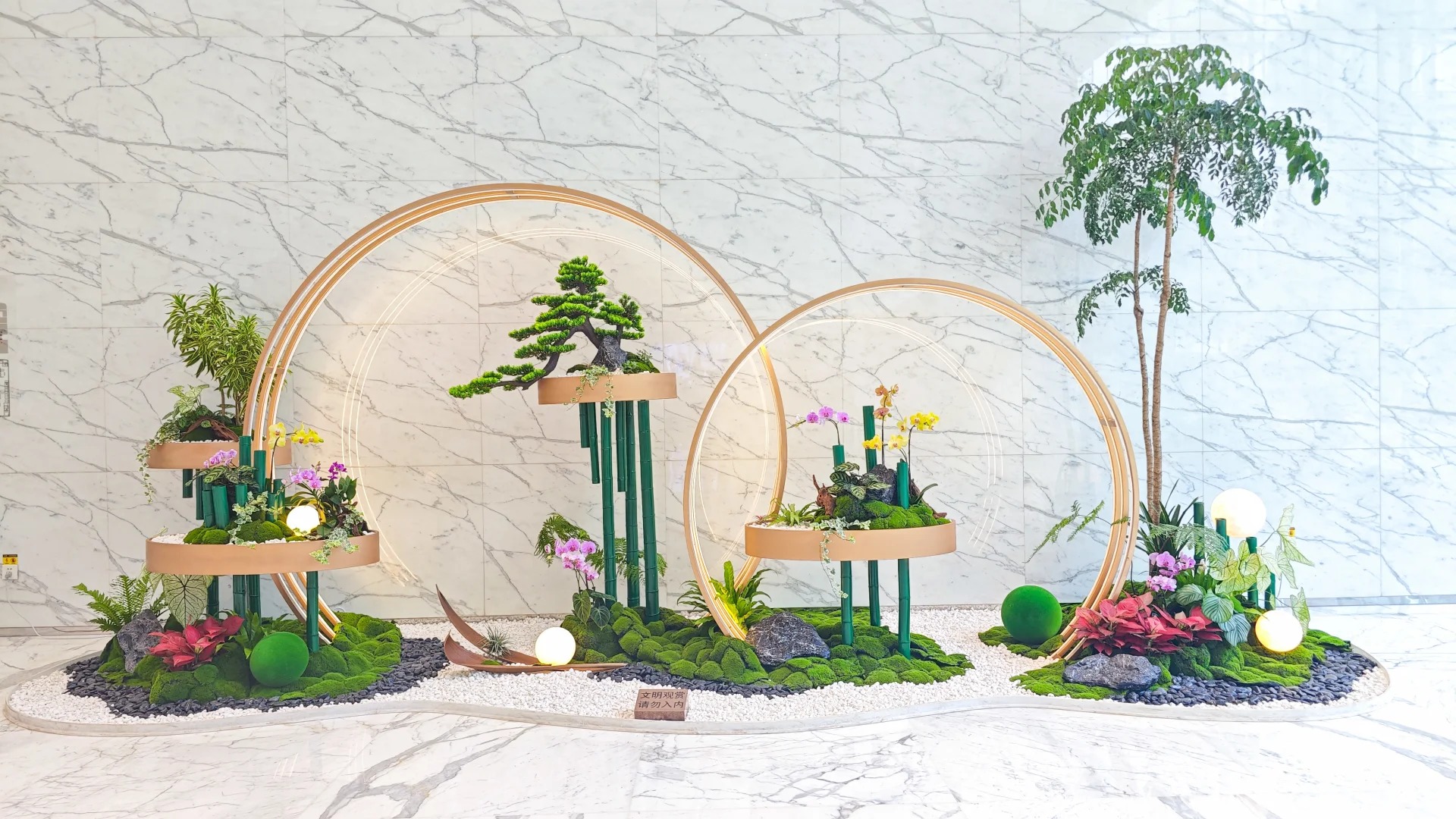 专业引领，宁波杭州湾盆景租赁的优质之选